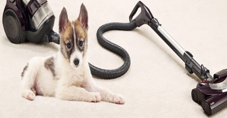 What Pet Hair Vacuum Cleaner Manufacturers Do to Confuse Consumers?