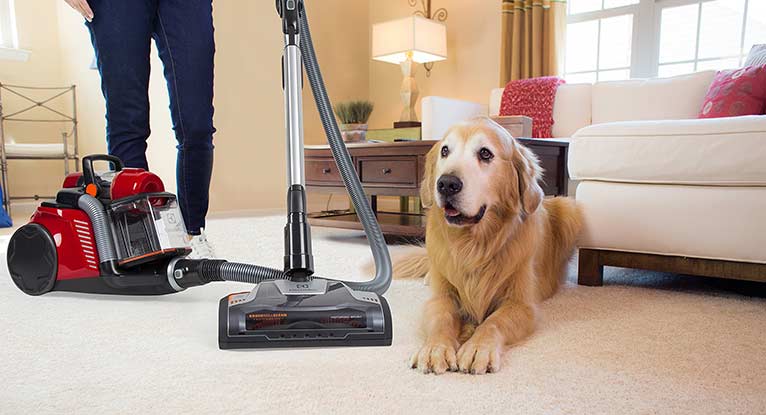 Things to Consider Before You Make Final Choice about Pet Hair Vacuum Cleaners