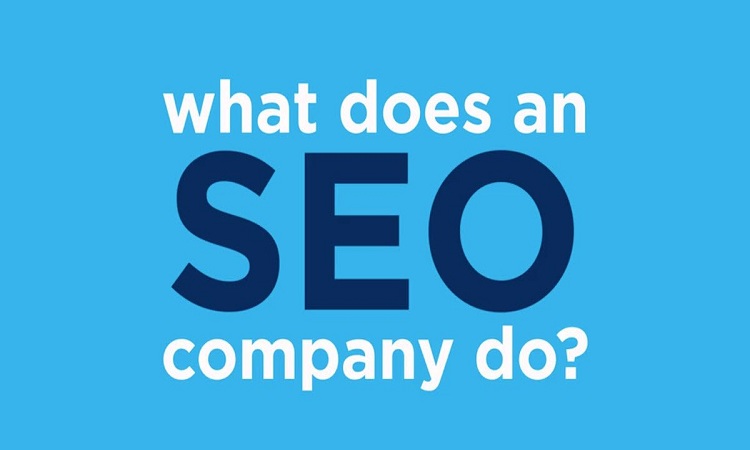 Why to Choose a Website Design & SEO Company?