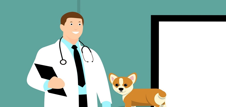 Recommendations on Vaccines for Dogs