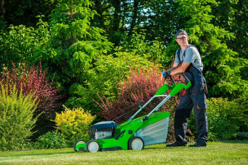 7 WAYS TO MAINTAIN YOUR  LAWN