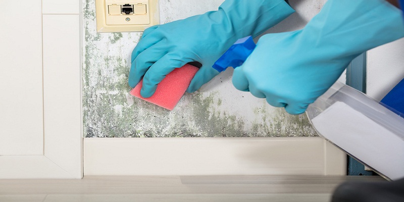 Detecting Moisture Sources – The First Step to Mold Cleaning
