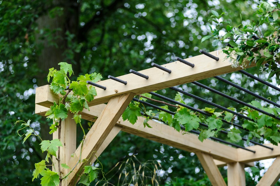 Should You Get an Arbor or Pergola for Your Home?