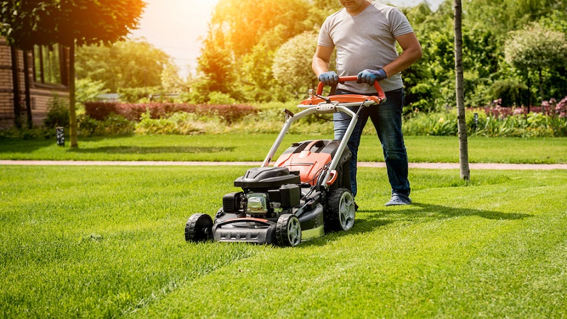 Discover The Natural Lawn Maintenance Tips!