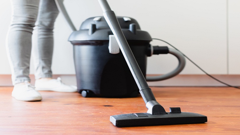 Is A Canister Vacuum Cleaner Right For Me To Clean The Pet Hair?