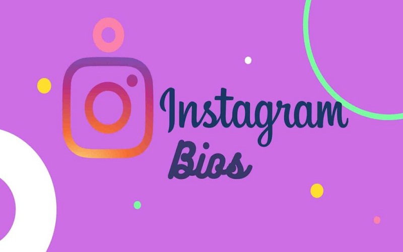 An Overview of Instagram Bios